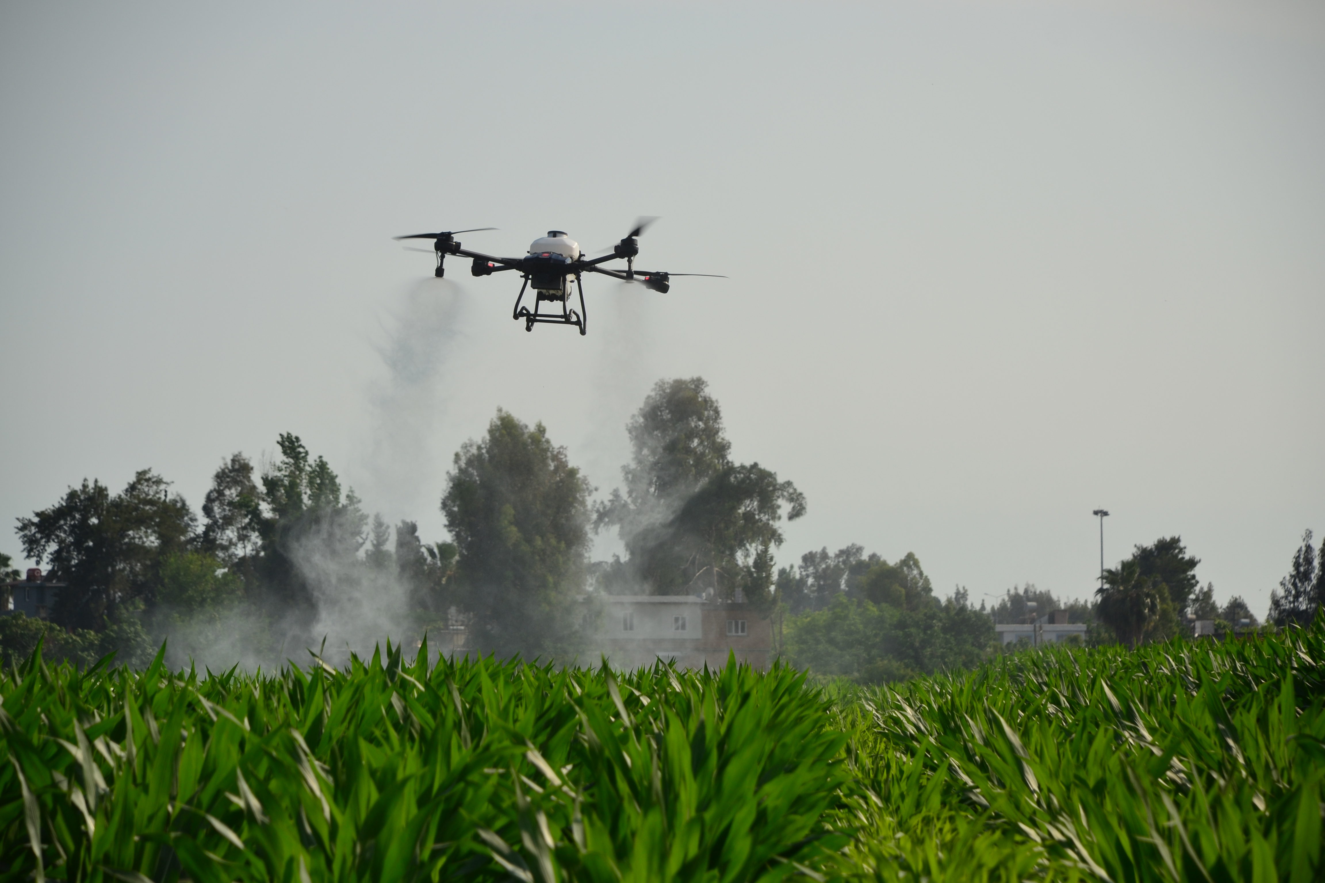 Mısırda Zararlılarla Mücadelede Drone Teknolojisi